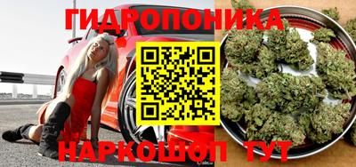марихуана Будённовск