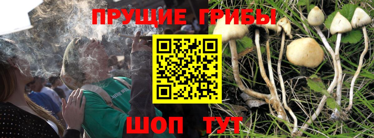 Галлюциногенные грибы мухоморы  Псилоцибиновые грибы мухоморы  Новотроицк  Вход с VPN 
