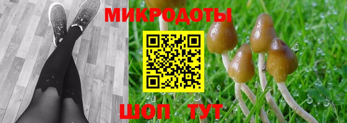 Псилоцибиновые грибы прущие грибы Новотроицк
